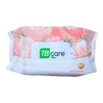 Toallitas húmedas TB care 60 unidades